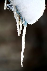 Close-up of ice crystals