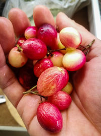 Close-up of hand holding strawberries