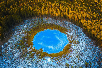 High angle view of water flowing in forest