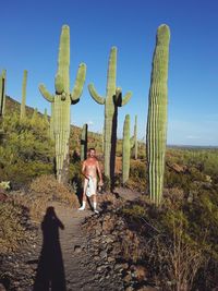 Full length of naked man standing amid saguaro cactus in desert against clear blue sky