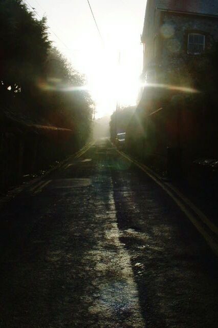 sunbeam, lens flare, sunlight, no people, outdoors, the way forward, day, nature, tree, sky