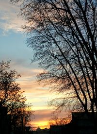 Low angle view of silhouette trees against sky at sunset