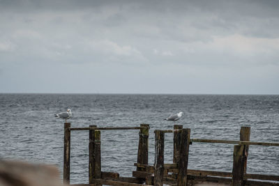 Wooden posts in sea against sky