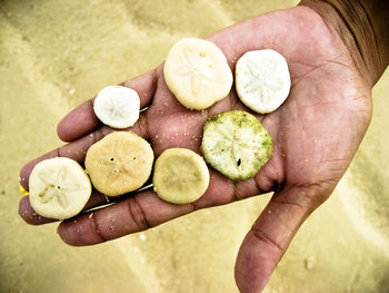 Close-up of hand holding heart shape