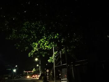 View of trees in city at night