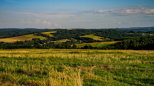 Scenic view of agricultural field against sky