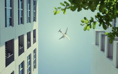 Low angle view of airplane flying against sky