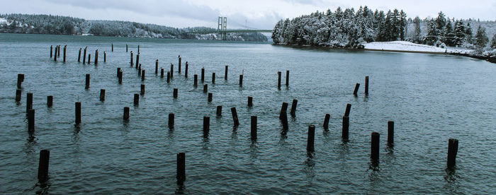 Wooden posts in lake