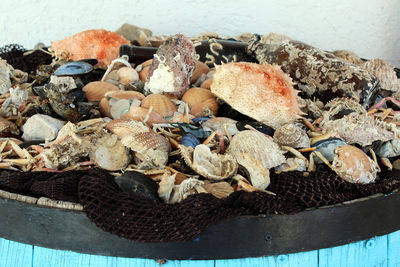 High angle view of shells on beach