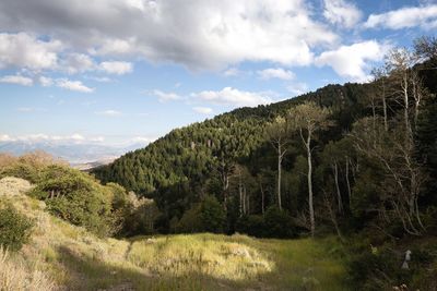 Scenic view of trees and mountains against sky