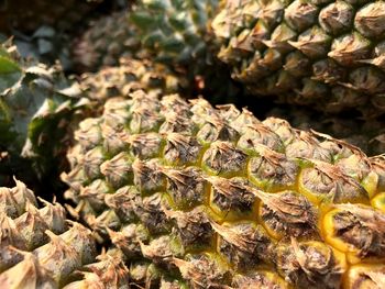Close-up of pineapple for sale in market