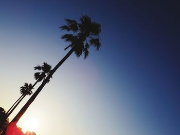 Low angle view of silhouette coconut palm tree against clear sky