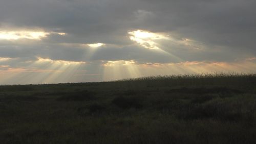 Scenic view of field against sky during sunset