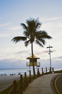 Palm trees on beach against sky