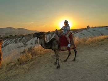 Rear view of man riding horse on landscape against sky during sunset