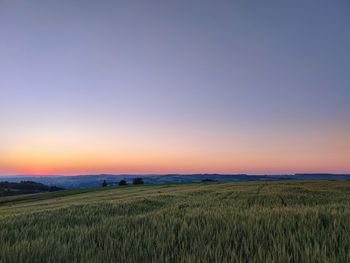 Scenic view of agricultural field against sky during sunset