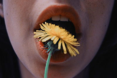 Close-up of woman with flower in mouth