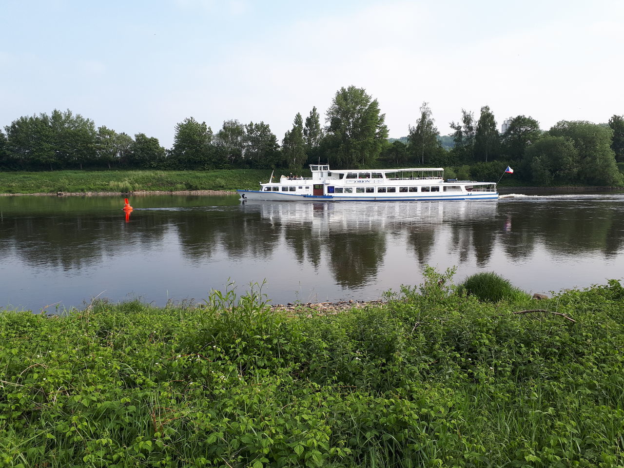 plant, water, mode of transportation, transportation, tree, nautical vessel, beauty in nature, nature, sky, lake, scenics - nature, day, green color, no people, tranquil scene, reflection, growth, non-urban scene, outdoors, passenger craft