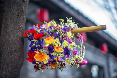 Close-up of flowers