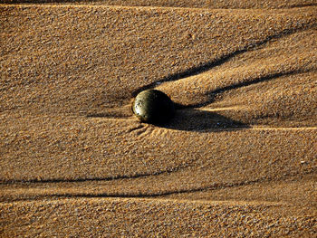 High angle view of shadow on sand