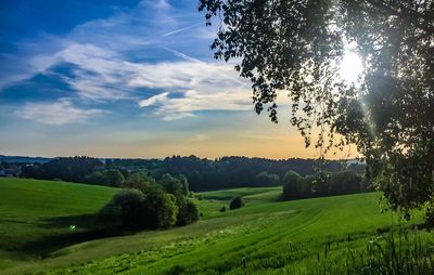 Scenic view of landscape against sky