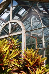 Low angle view of building