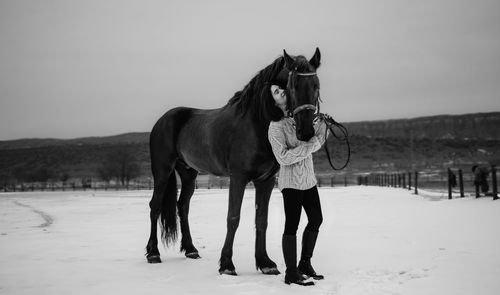 Horse standing in a field