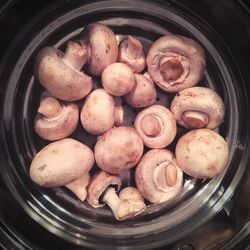 High angle view of eggs in container