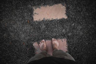 Low section of man standing on footpath amidst grass