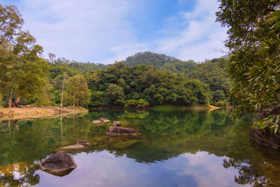 Reflection of trees in lake against sky