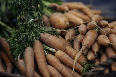 Close-up of vegetables