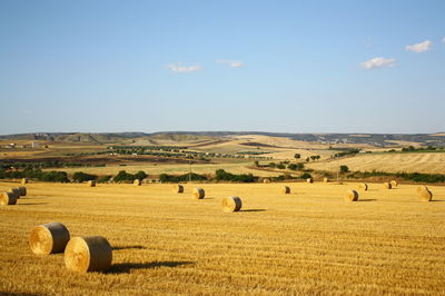 Hay bales on field