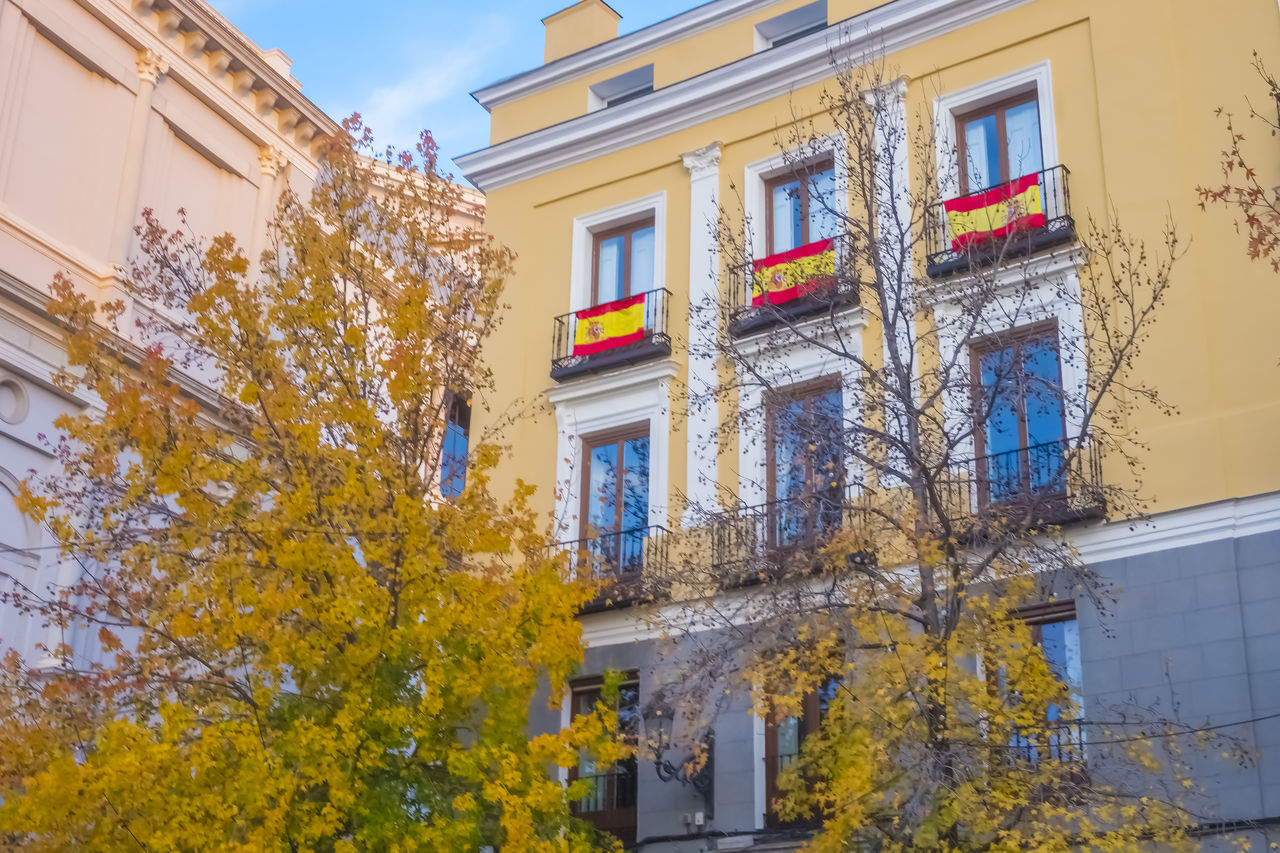 architecture, building exterior, built structure, neighbourhood, building, tree, plant, nature, window, city, residential district, autumn, urban area, facade, house, yellow, no people, low angle view, sky, residential area, outdoors, day, downtown, flower