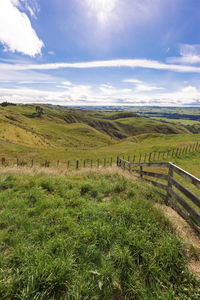 Scenic view of field against sky