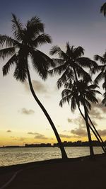 Silhouette palm tree by sea against sky during sunset