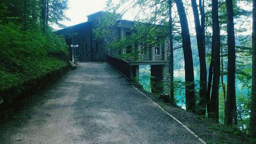 Narrow walkway along trees