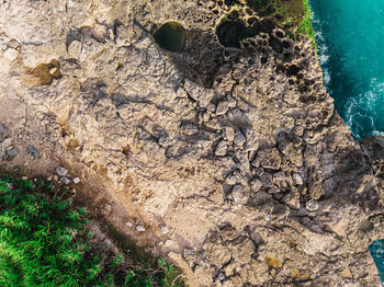 High angle view of a rock