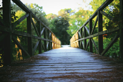 Surface level of footbridge amidst trees in forest