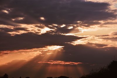 Low angle view of silhouette trees against dramatic sky