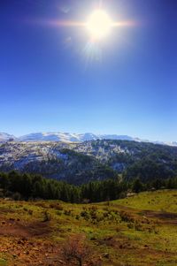 Scenic view of landscape against sky