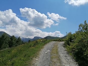 Empty road along plants and trees against sky