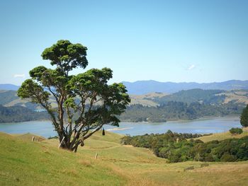 Scenic view of lake against clear sky