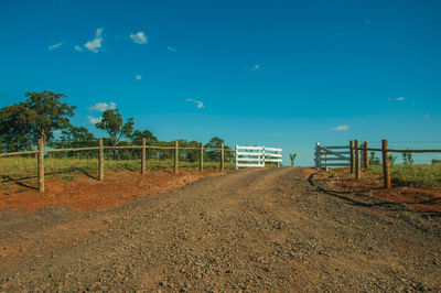 Scenic view of field against blue sky