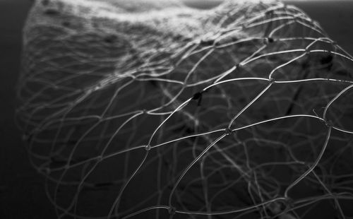 Close up of leaf