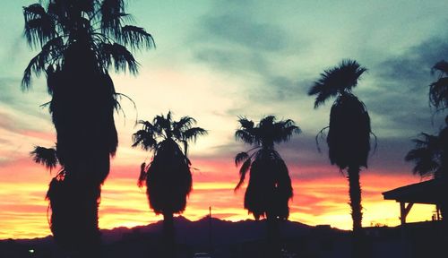 Silhouette of palm trees against cloudy sky