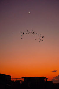 Low angle view of silhouette birds flying against sky during sunset