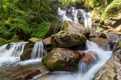 Scenic view of waterfall in forest