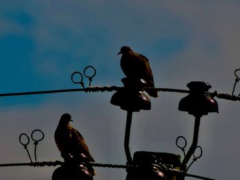 Low angle view of silhouette birds perching on tree against sky