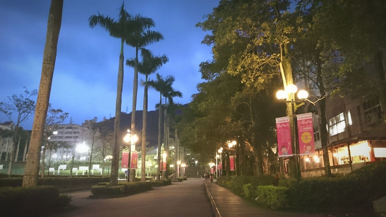 illuminated, street light, the way forward, lighting equipment, tree, built structure, night, diminishing perspective, architecture, sky, street, road, building exterior, footpath, empty, vanishing point, in a row, sunlight, transportation, electric light