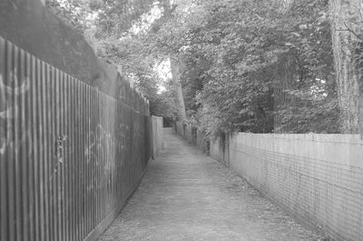 Empty footpath along trees